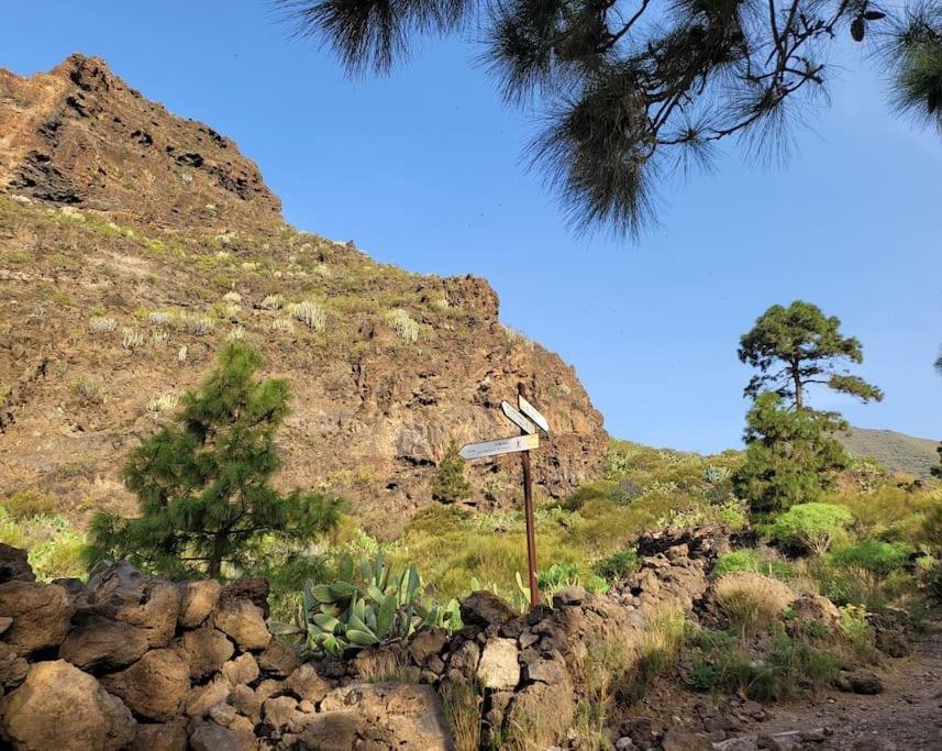 Hikers Haven Courtyard Apartment Tamaimo Tenerife El Molledo Eksteriør bilde